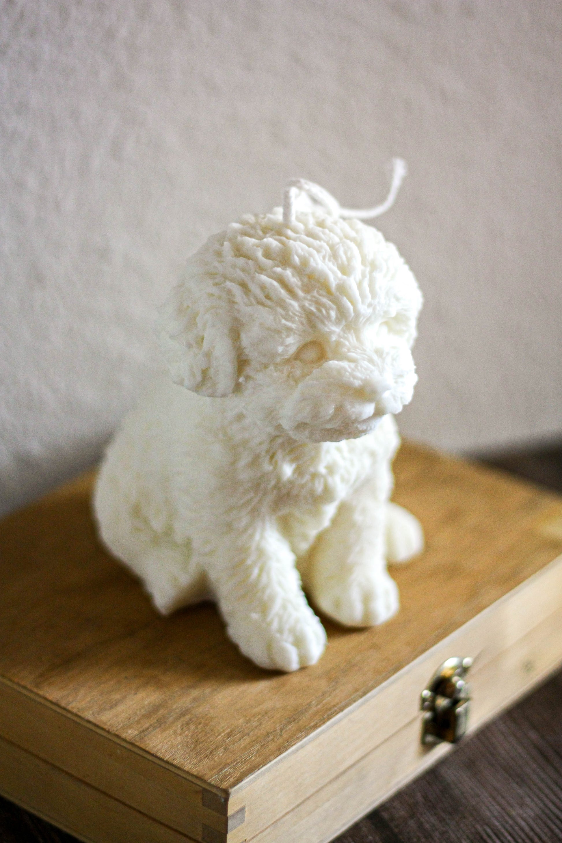 Vela Perro